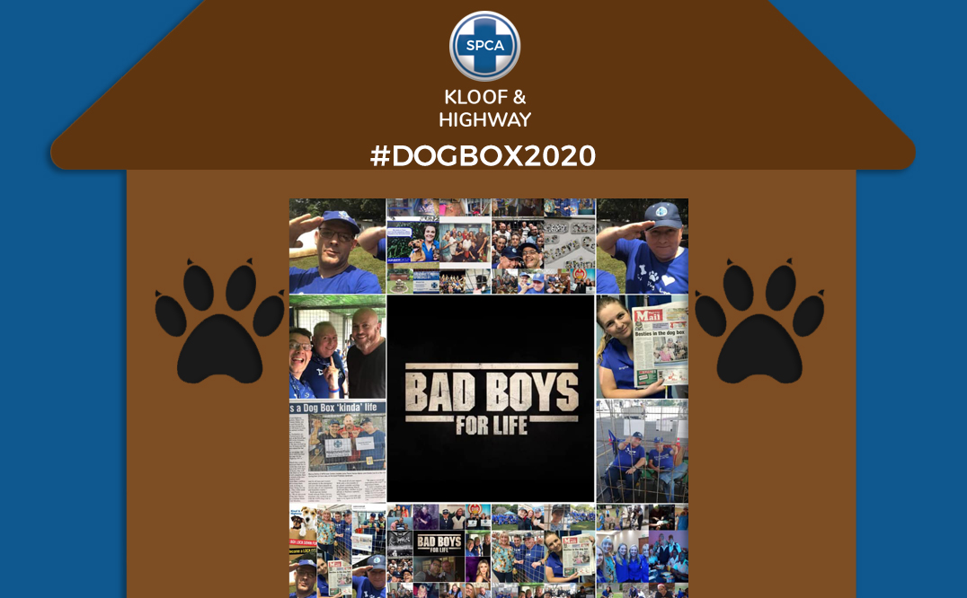 Dog Box 2020 – Shane and Pierre