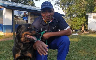 SPCA Hero – Petros Ntuli