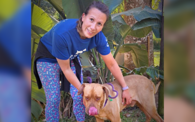 SPCA Hero – Sharon Petzer