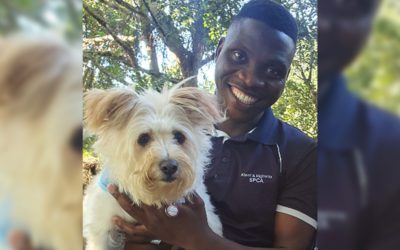 SPCA Hero – Siya Ntuli