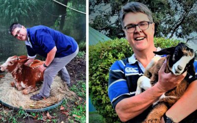 Kloof and Highway SPCA Hero – Dr Nic