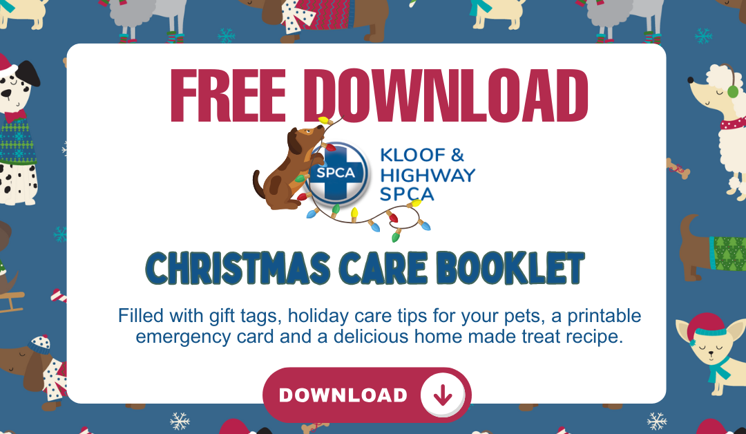 Make the Holidays Brighter with our Free Christmas Care Booklet!