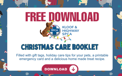 Make the Holidays Brighter with our Free Christmas Care Booklet!